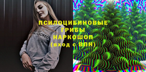 тгк Алексин