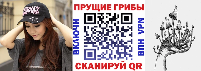 Галлюциногенные грибы Magic Shrooms  OMG онион  Бабаево 